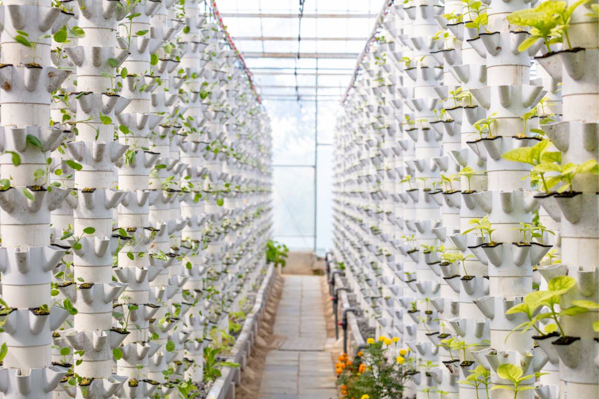 Aqua-farm- aqua-farm-