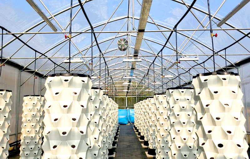 Aqua-farm-crea-il-tuo-impianto-di-aquaponica- aqua-farm-crea-il-tuo-impianto-di-aquaponica-