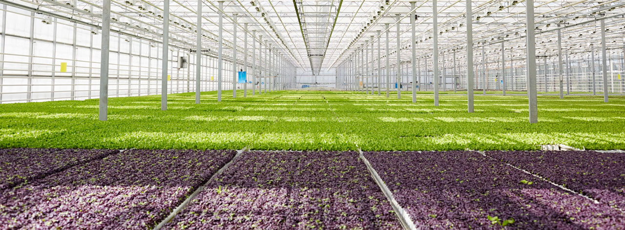 aqua-farm-sfondo-chi-siamo